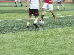 双色球,独家预测,葡萄园里的,竞彩网,中国竞彩网,竞彩足球,竞彩网官网,竞彩足球赛果