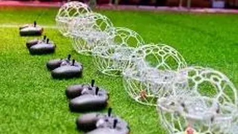 “神秘通行证失灵：揭秘403禁令之谜！”