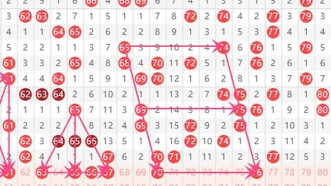 福彩3D第2026046期组选推荐：六码复式预测分析