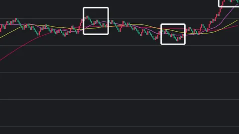 大乐透第2026048期专家推荐：重号关注，百位预测9号