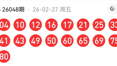 南华天大乐透2026028期推荐：精选52后区号码0409，