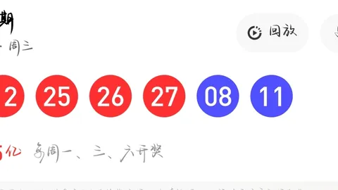 第2026055期 大乐透2026055期专家质合分析及前区