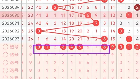 排列五第2026095期磊达专家质合前区十码推荐